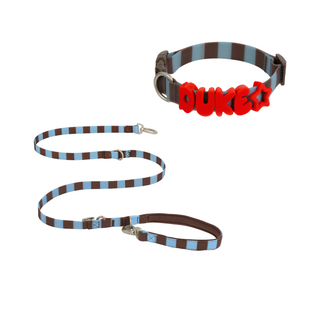 Personalized collar with matching Waterproof Dog Leash Saddle