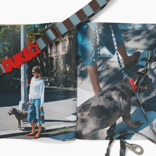 Fall lookbook spread with the personalized collar Saddle