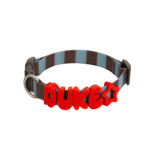 Waterproof Dog Collar with personalized name charms Saddle