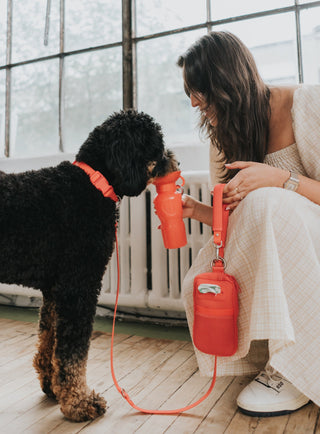 Dog Leash Walk Bag Set