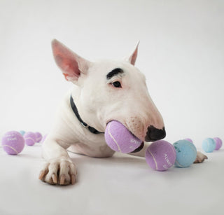 Dog Tennis Balls Pack of 4
